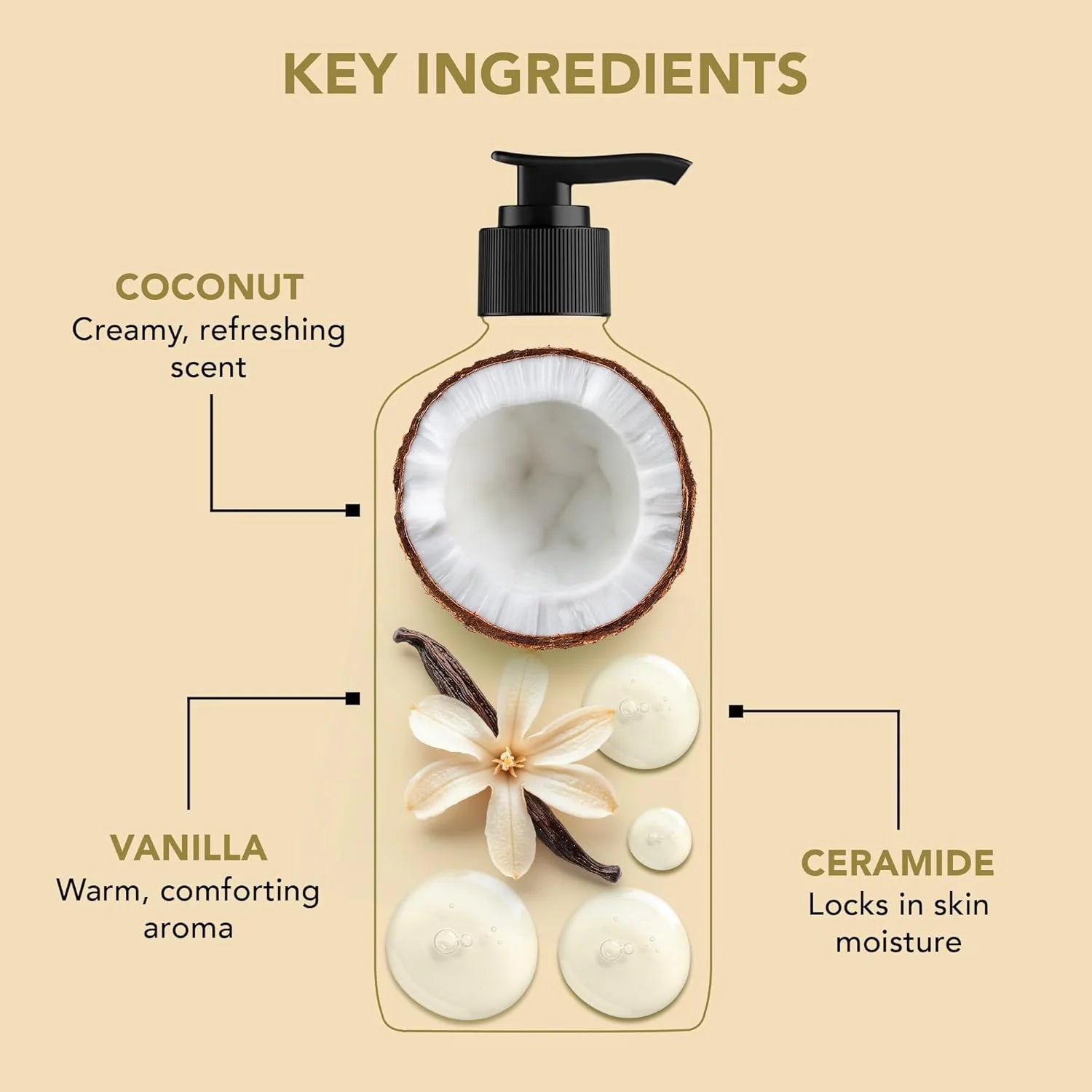 Coconut & Ceramides Body Wash – Hydrating Shower Gel for Soft, Smooth Skin, 5-In-1 Gentle Cleanser, Sulfate & Paraben Free – 16 Fl Oz